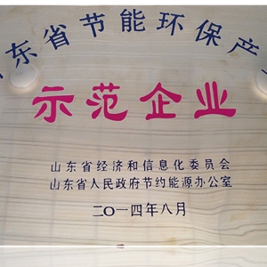 山東省節(jié)能環(huán)保產業(yè)示范企業(yè)